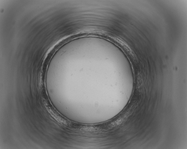 X0000085010880200703261152