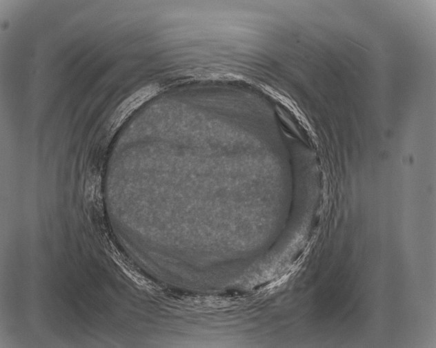 X0000085010881200703261152