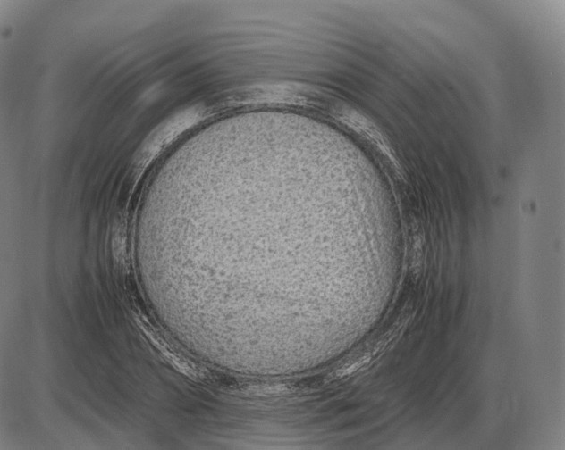 X0000085010882200703261152