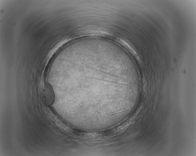 X0000085010883200703261152