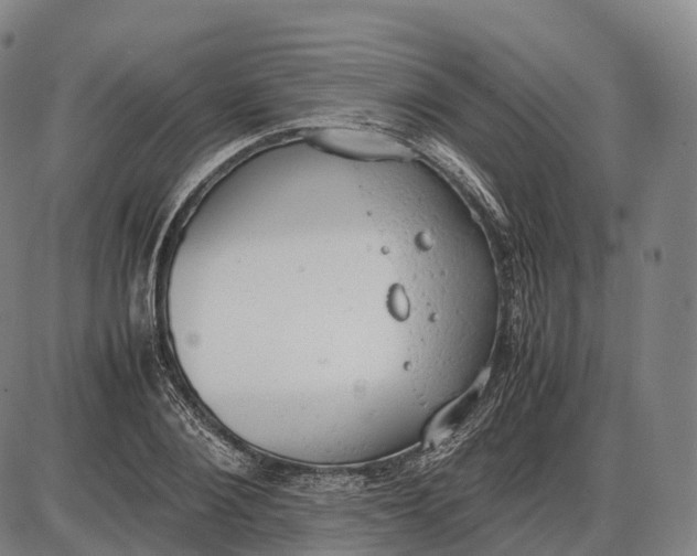 X0000085010884200703261152