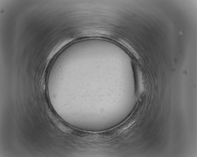 X0000085010885200703261152