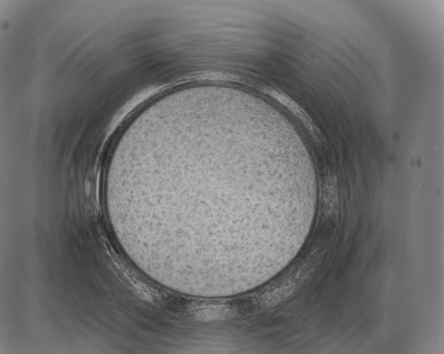 X0000085010886200703261152