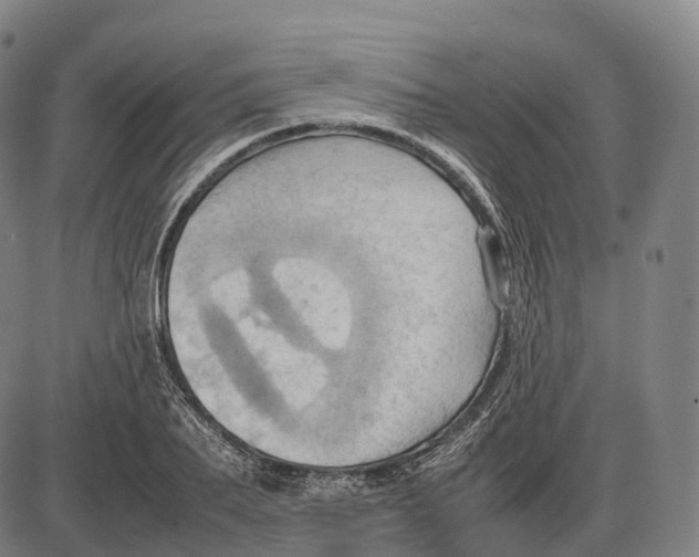 X0000085010887200703261152