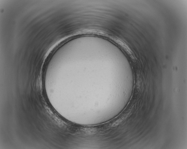 X0000085010888200703261152