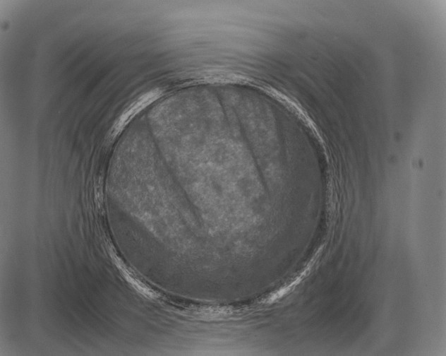 X0000085010889200703261152