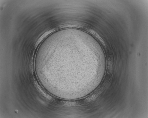 X0000085010890200703261152