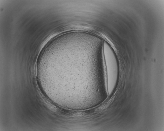 X0000085010891200703261152