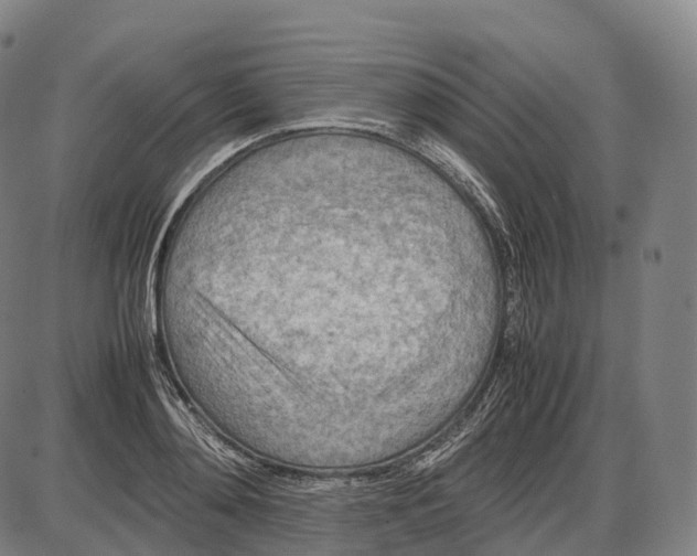 X0000085010892200703261152