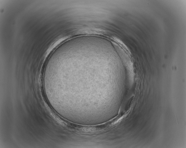 X0000085010893200703261152