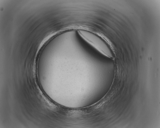 X0000085010894200703261152