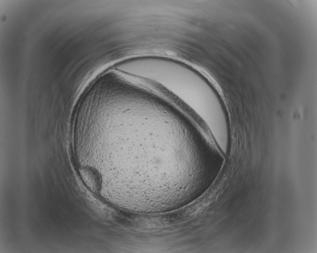 X0000085010895200703261152