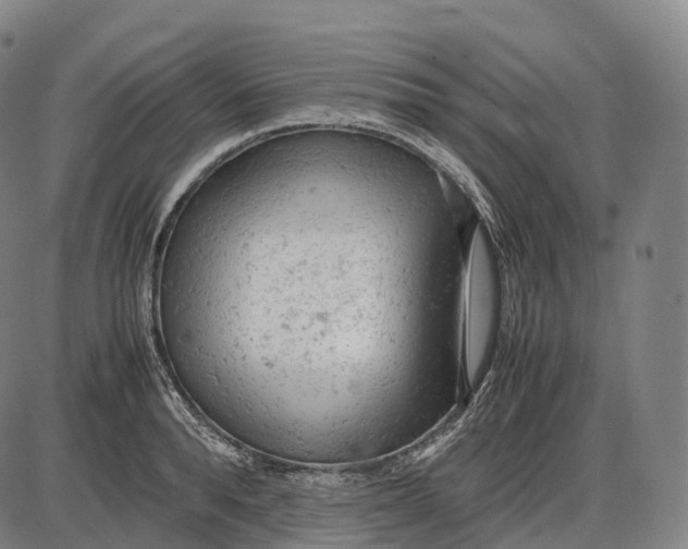 X0000085010896200703261152