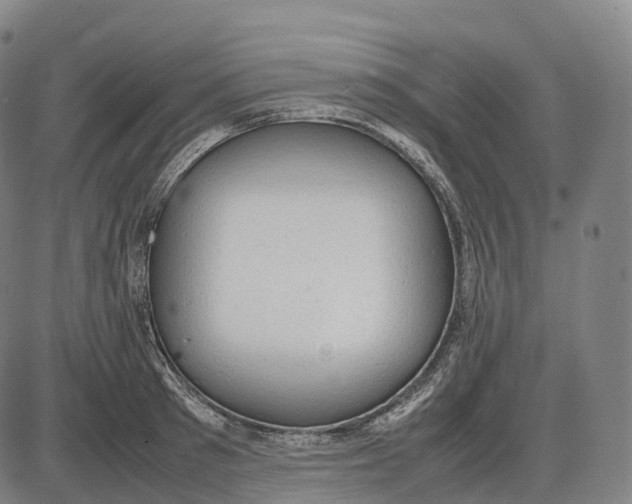 X0000085010897200703261152