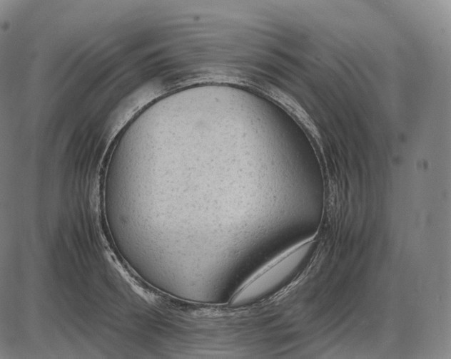 X0000085010898200703261152