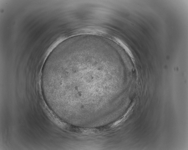 X0000085010899200703261152