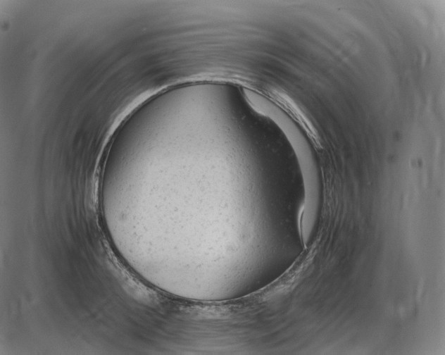 X0000085010900200703261151