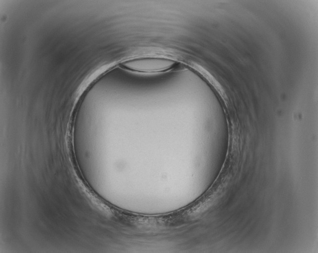 X0000085010901200703261151