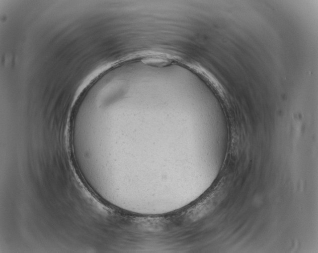 X0000085010902200703261151