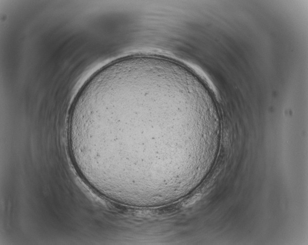 X0000085010903200703261151