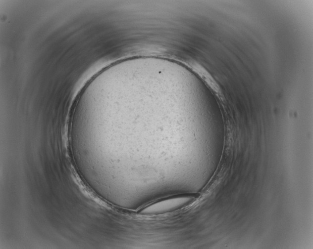 X0000085010904200703261151