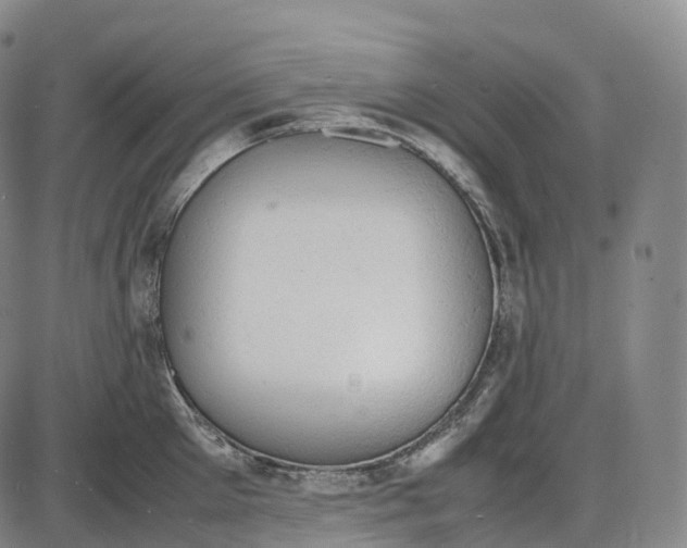 X0000085010905200703261151