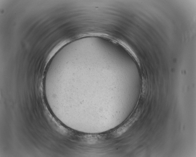 X0000085010906200703261151