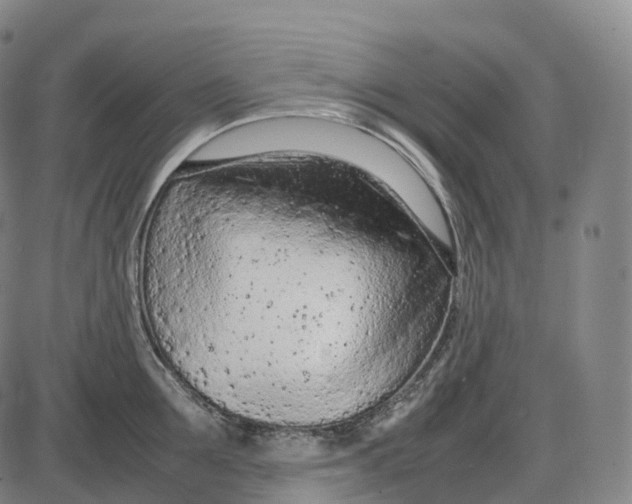 X0000085010907200703261151