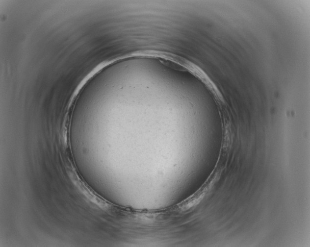 X0000085010908200703261151