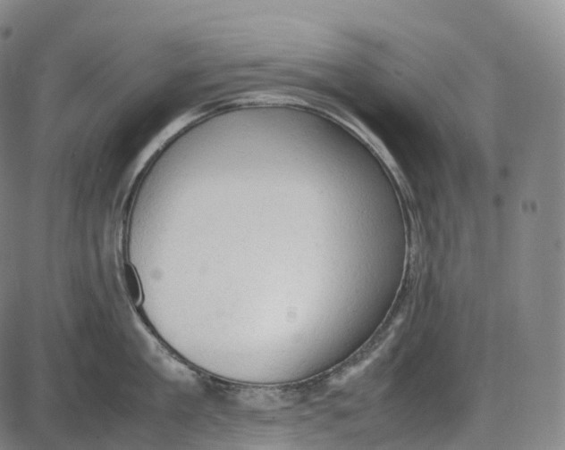 X0000085010909200703261151