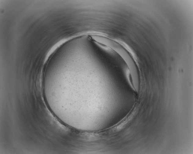 X0000085010910200703261151