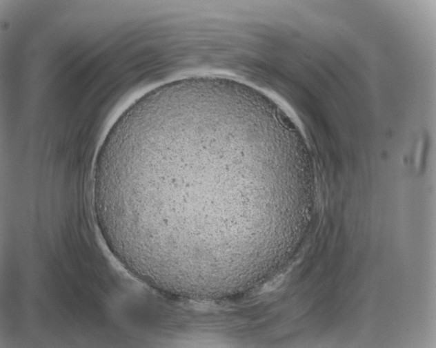 X0000085010911200703261151