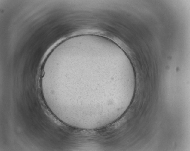 X0000085010912200703261151