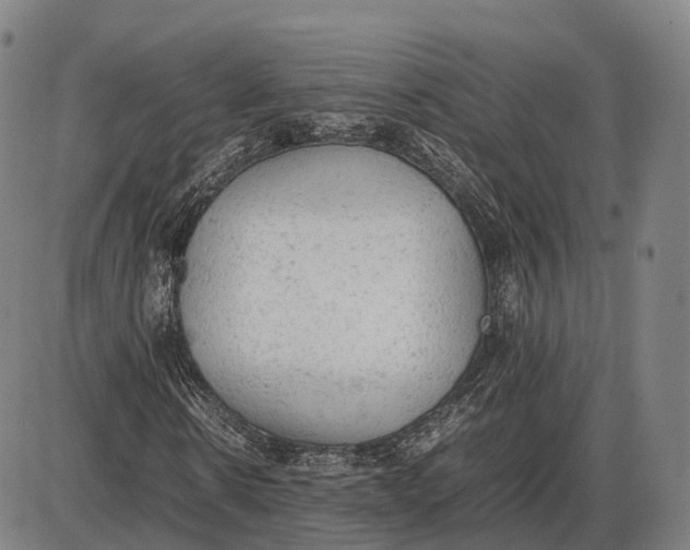 X0000085010914200703261151