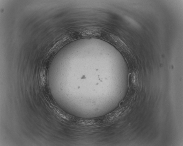 X0000085010915200703261151