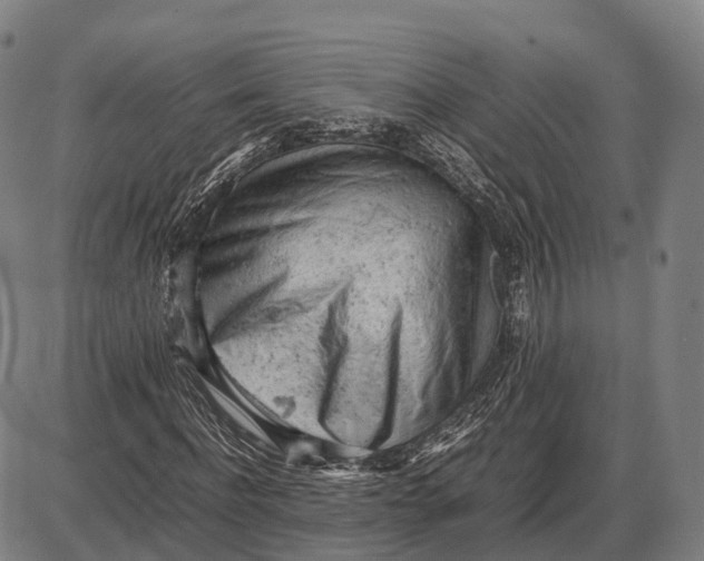 X0000085010916200703261151