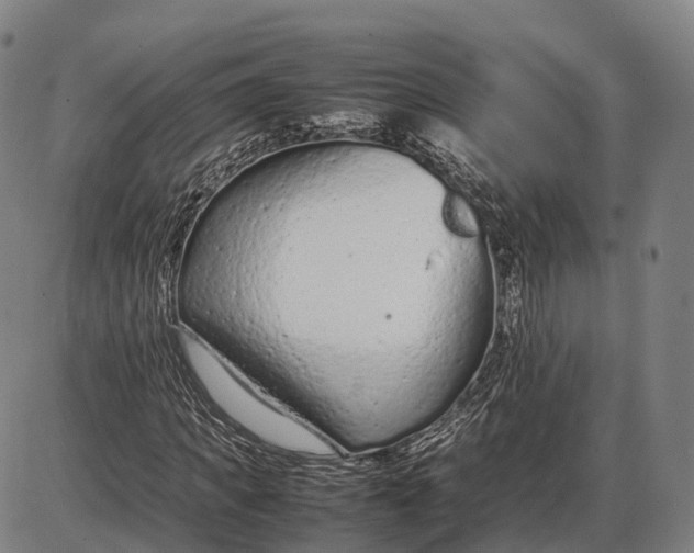 X0000085010917200703261151