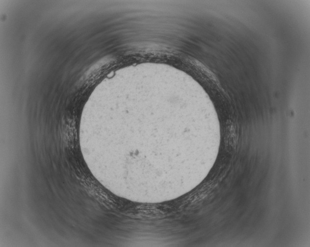 X0000085010918200703261151