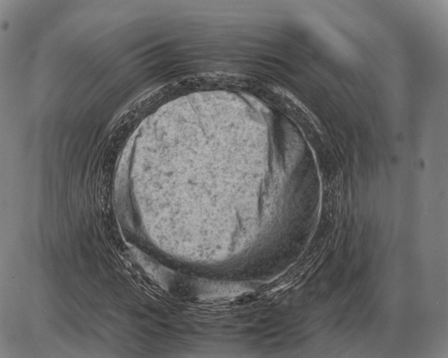 X0000085010919200703261151