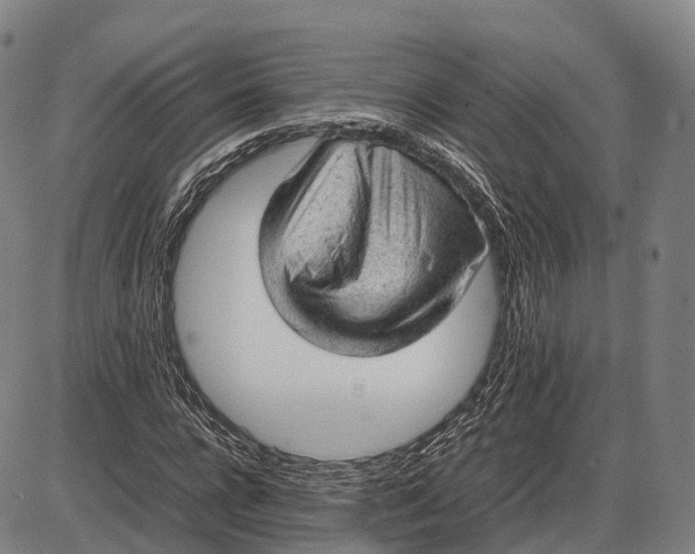 X0000085010920200703261151