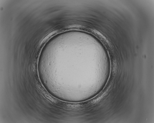 X0000085010921200703261151