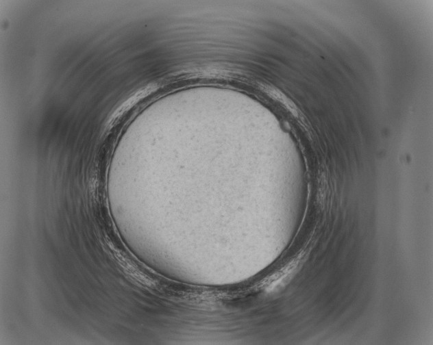 X0000085010922200703261151