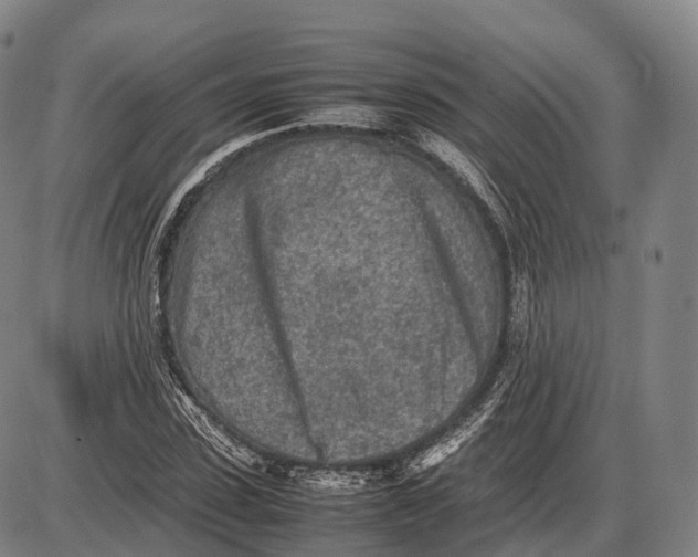 X0000085010923200703261151