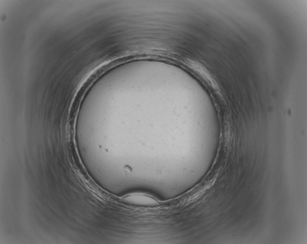 X0000085010924200703261151