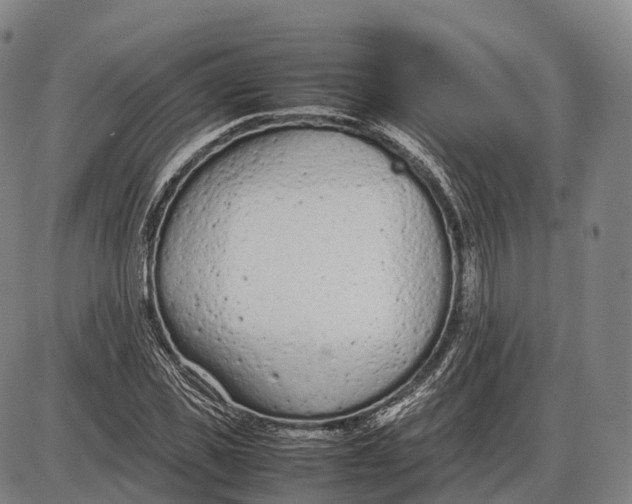 X0000085010925200703261151