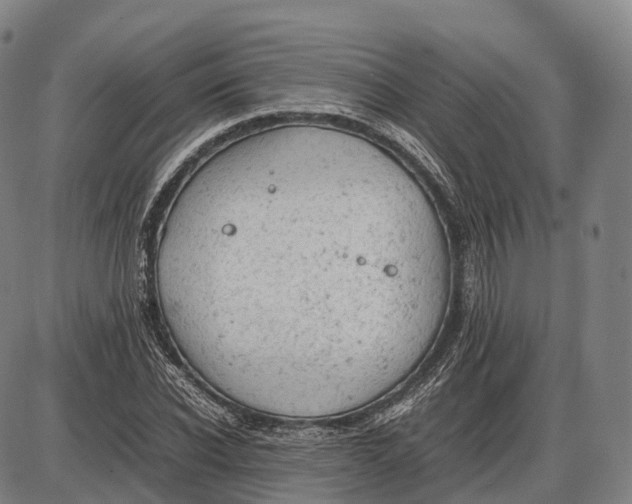 X0000085010926200703261151