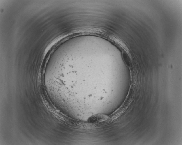 X0000085010928200703261151