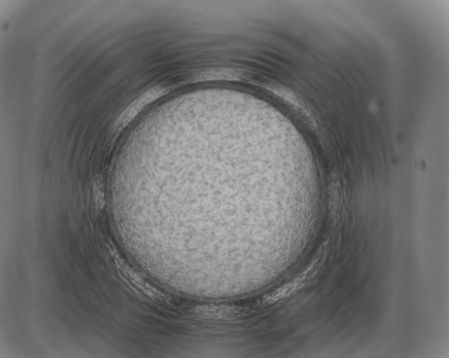 X0000085010929200703261151