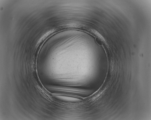 X0000085010930200703261151