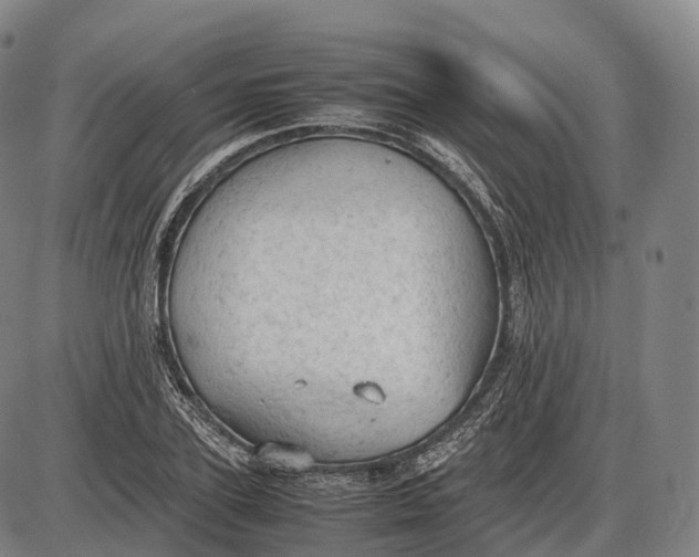 X0000085010931200703261151